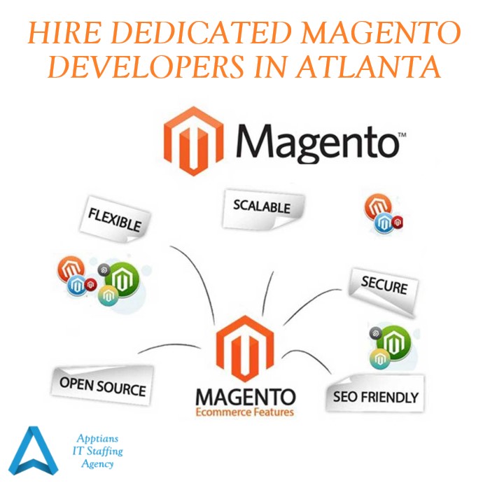 HIRE DEDICATED MAGENTO DEVELOPERS IN ATLANTA
